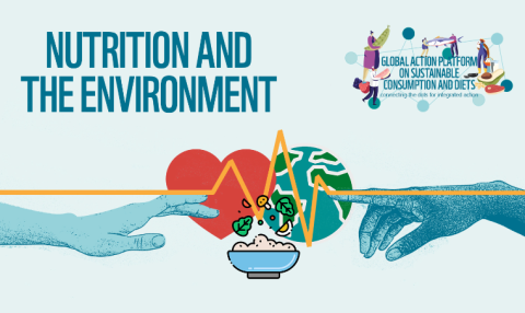 Library | UN‑Nutrition: The United Nations Inter‑agency Coordination ...